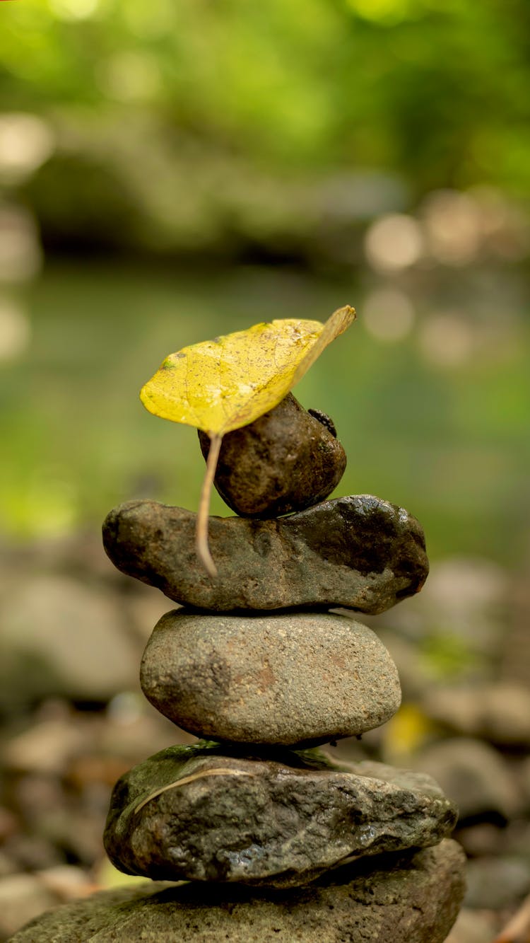 Yellow Leaf On Stacks Of Stones