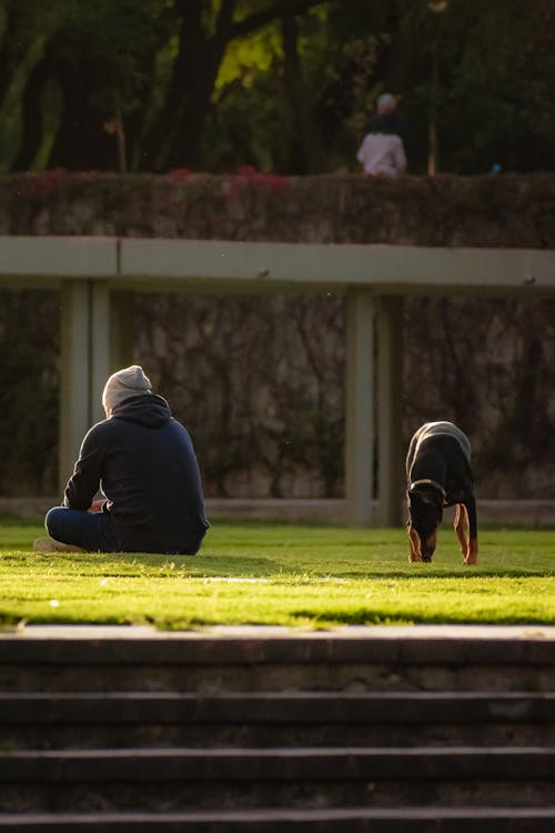 Man in Black Hoodie Sitting on Grass Field Beside Black Dog