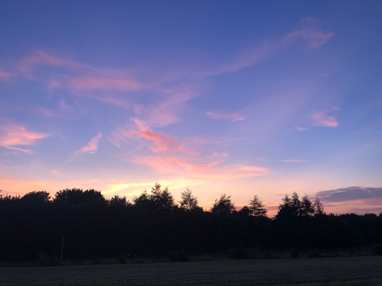 Forest Silhouette At Dramatic Sunset