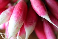 Selective Focus Photo Of Red Radish