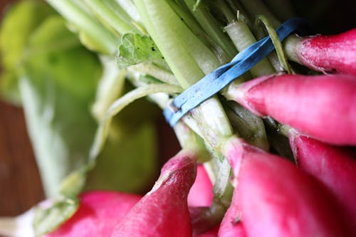 Pink and Green Vegetable