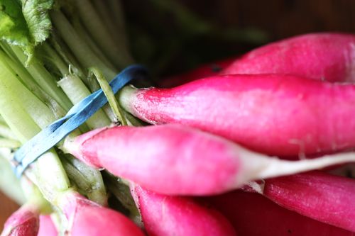 Free Vibrant close-up of fresh red radishes with green leaves, showcasing their texture. Stock Photo