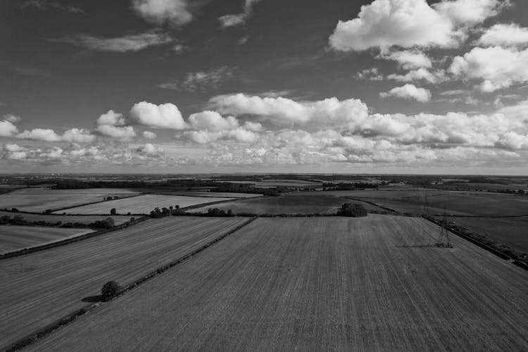 Grayscale Drone Shot Of A Countryside In England