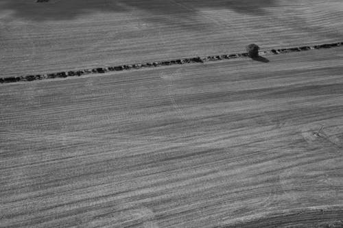 Rural Fields in Black and White
