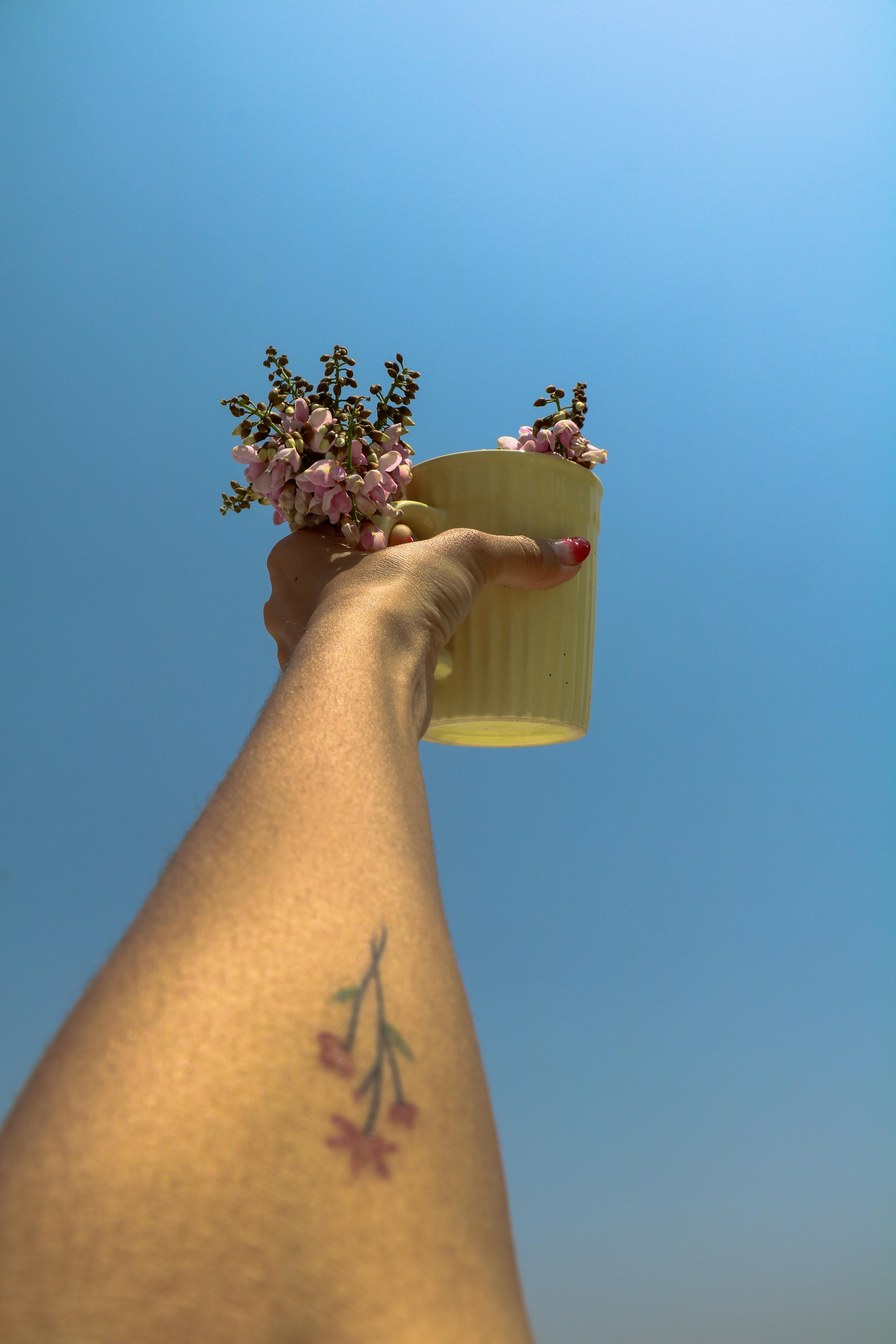 A tattooed arm lifts a flowerpot with pink flowers against a bright blue sky background.