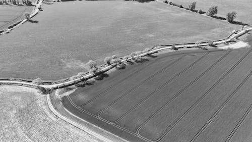 Grayscale Birds Eye View of a Countryside in England