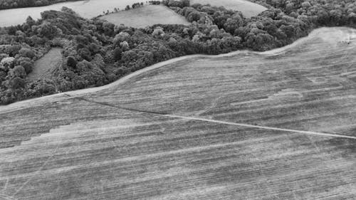 An Aerial Shot of an Agricultural Field