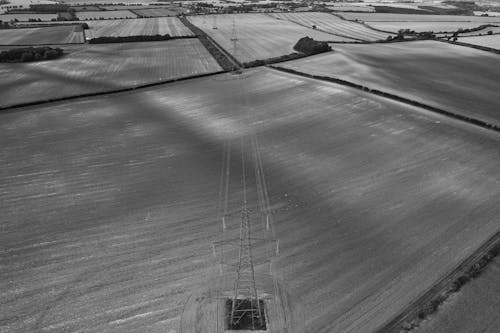 Free Photo of a Crop Fields and a Electric Power Line Stock Photo