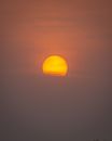 Yellow Sun on Black Sky