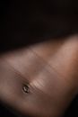Photo of a Navel