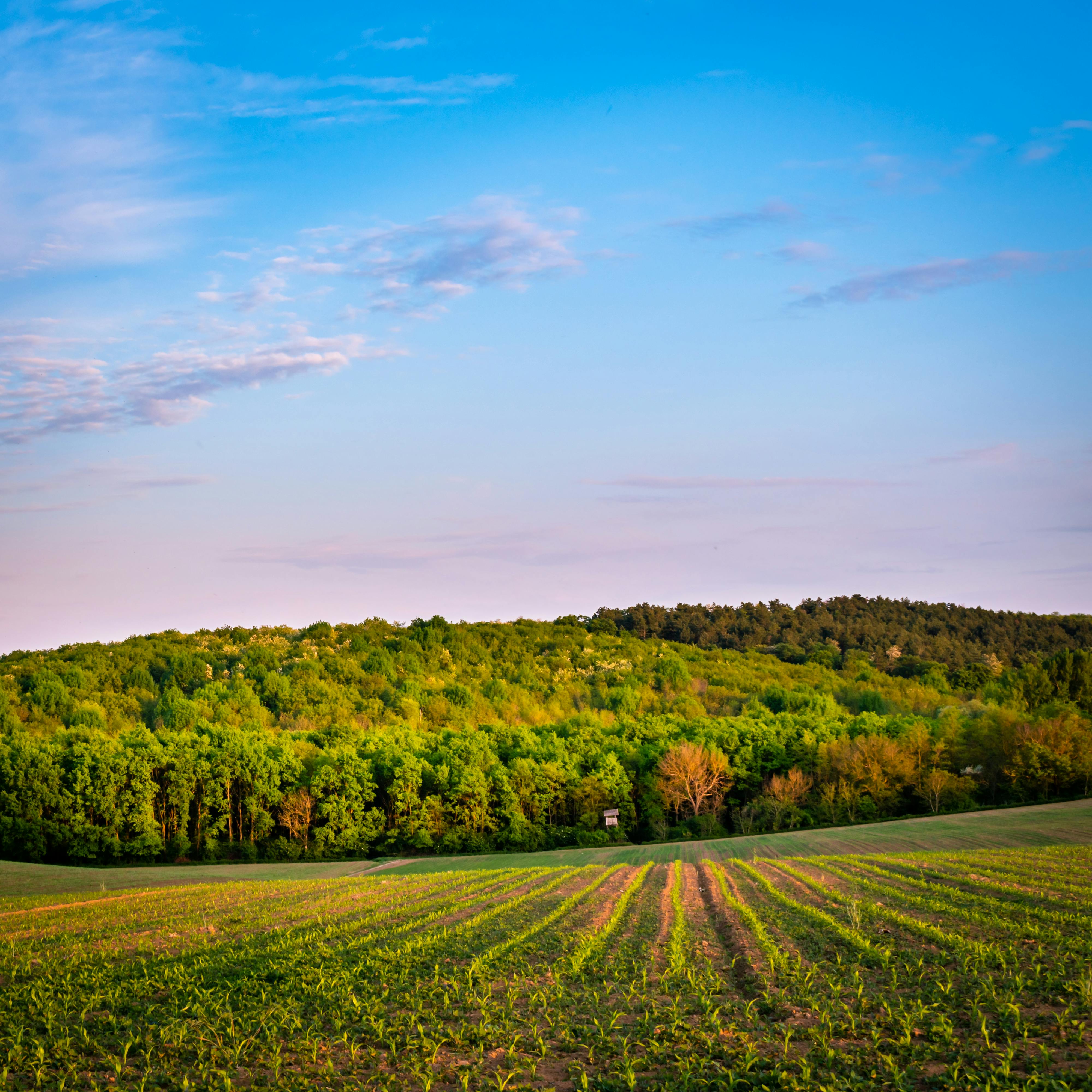 pexels-photo-12572193.jpeg?