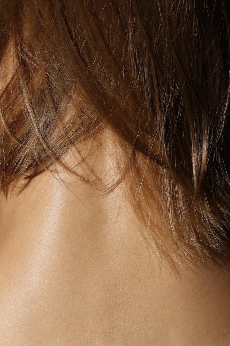 Close-up Of A Neck