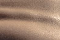 Body Detail
