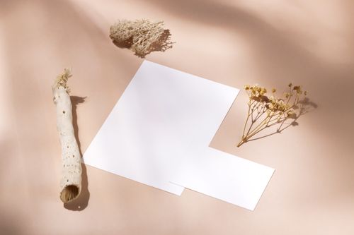 Free A simple, elegant arrangement of blank paper and dried flowers in a soft light. Stock Photo