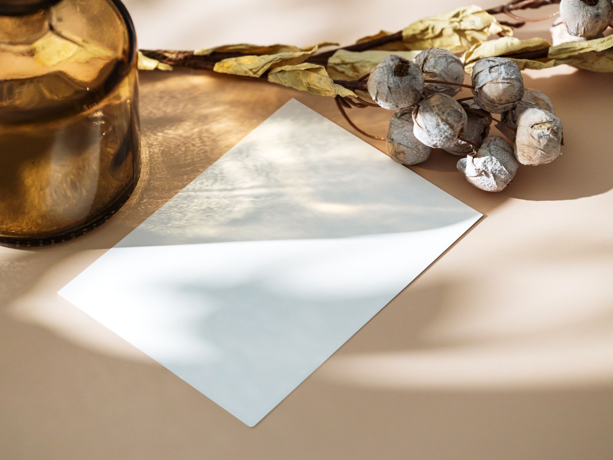 Packing & Materials in Steep, South East — professional packers wrapping and boxing belongings