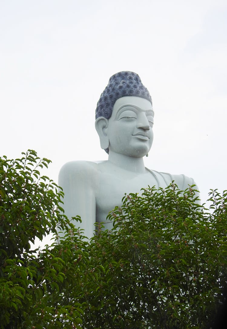 Giant Buddha Statue Behind The Trees 