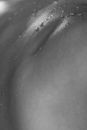 Body Detail