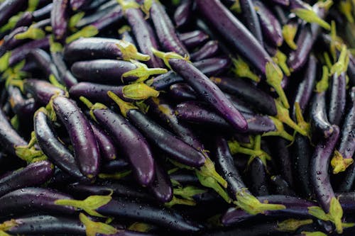 Wet Eggplants