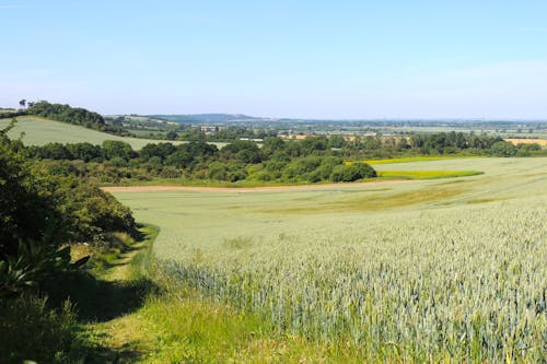 Landscape Photography of a Countryside