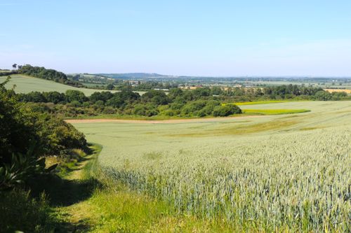 Free Vast green countryside fields under clear blue skies, perfect for nature lovers. Stock Photo