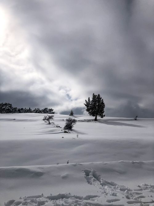 Free A peaceful snow-covered landscape under dramatic clouds in Kadınhanı, Turkey. Stock Photo