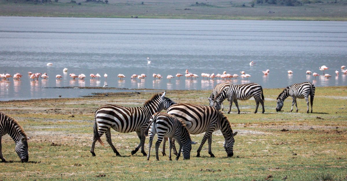 Lake Manyara National Park