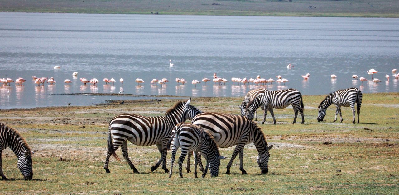 Regione di Arusha