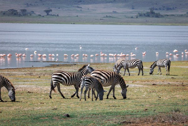 Lake Manyara