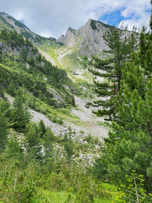 Kostenloses Stock Foto zu bäume, berge, landschaft