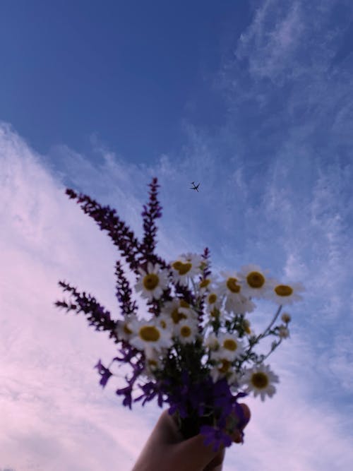 Бесплатное стоковое фото с букет, вертикальный выстрел, красивые цветы