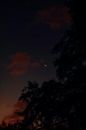 Quarter-moon Images