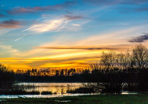 Free Golden sunset reflecting over a calm lake surrounded by silhouetted trees. Perfect nature wallpaper. Stock Photo