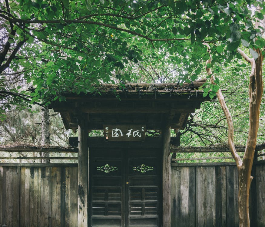 Brown Wooden Gate under Trees