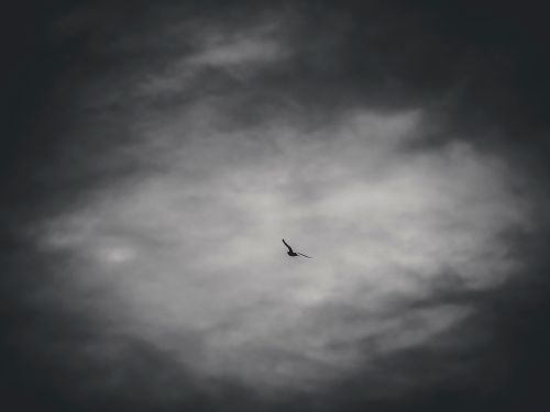 Free stock photo of blue skies, cinematic sky, cloud wallpaper Stock Photo