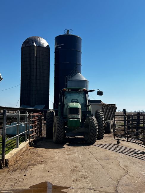 animal feed grain silo farm