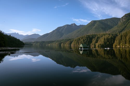 Capilano Lake Surrounded by Green Mountains 