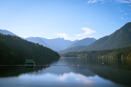 Free Foto profissional grátis de barragem, Canadá, ecológico Stock Photo