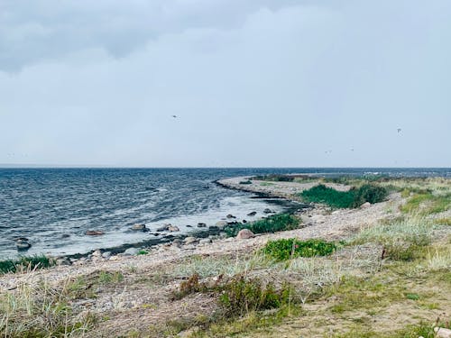Miễn phí Ảnh lưu trữ miễn phí về biển, biển Baltic, bờ biển Ảnh lưu trữ