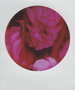 Make a circle with Images