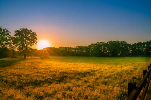 Free stock photo of beach sunset, blue sky, field