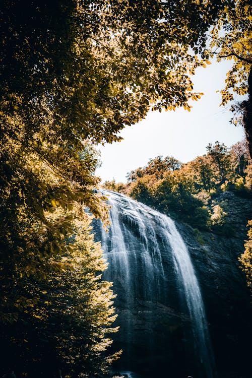 Free Waterfalls in the Middle of Forest Stock Photo