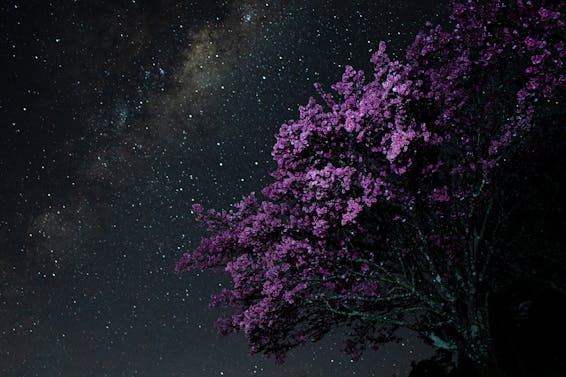 Céu estrelado de são miguel arcanjo - sp