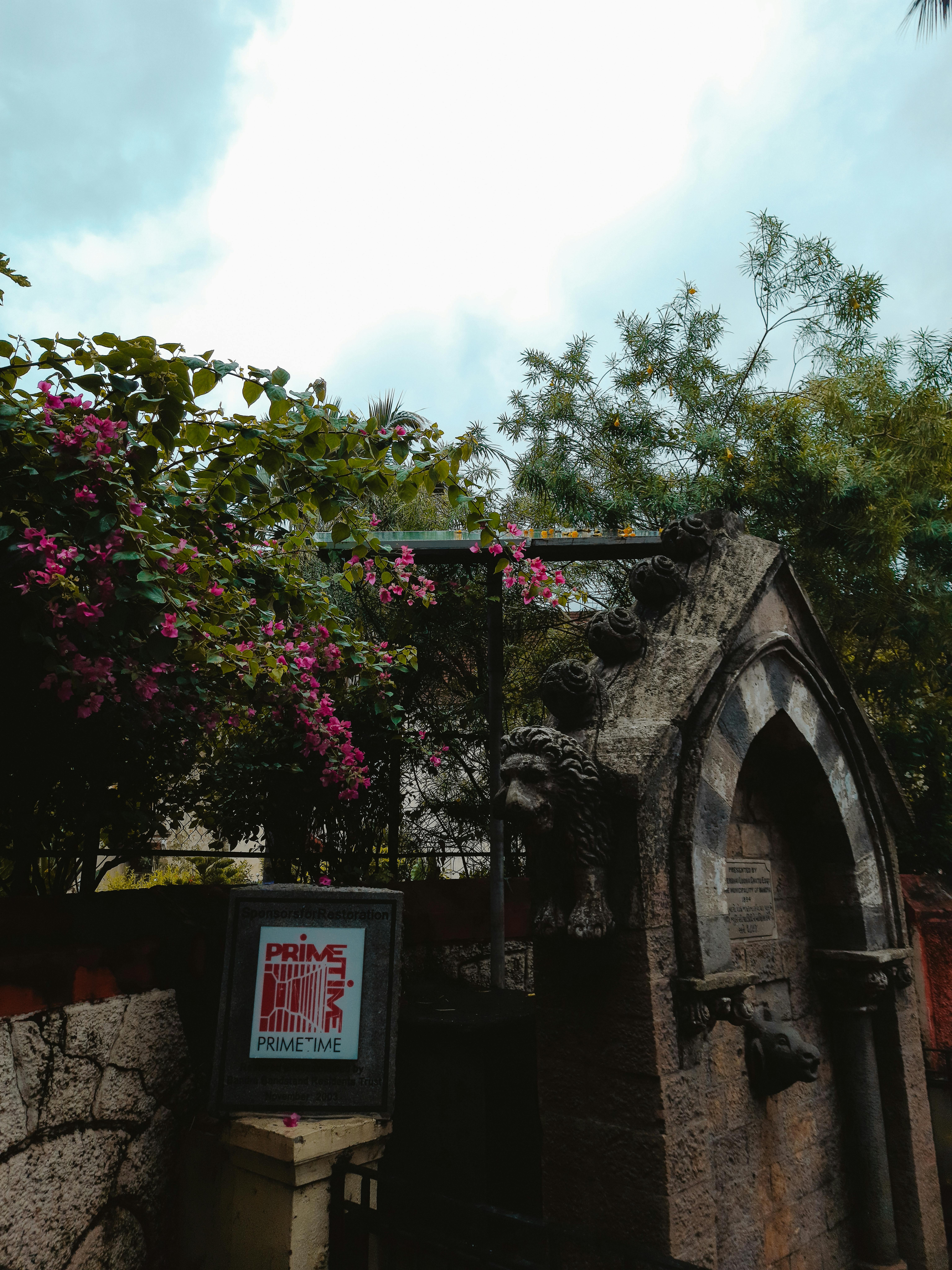 Ornamental Spring Outflow in Garden · Free Stock Photo