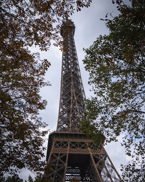 Fotobanka s bezplatnými fotkami na tému Eiffelova veža, Francúzsko, listy stromov