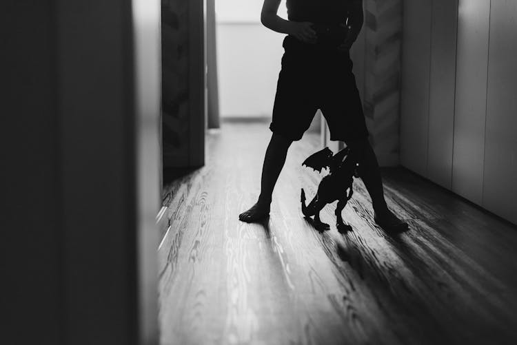 Silhouette Of A Kid Standing On A Hallway With His Dragon Toy