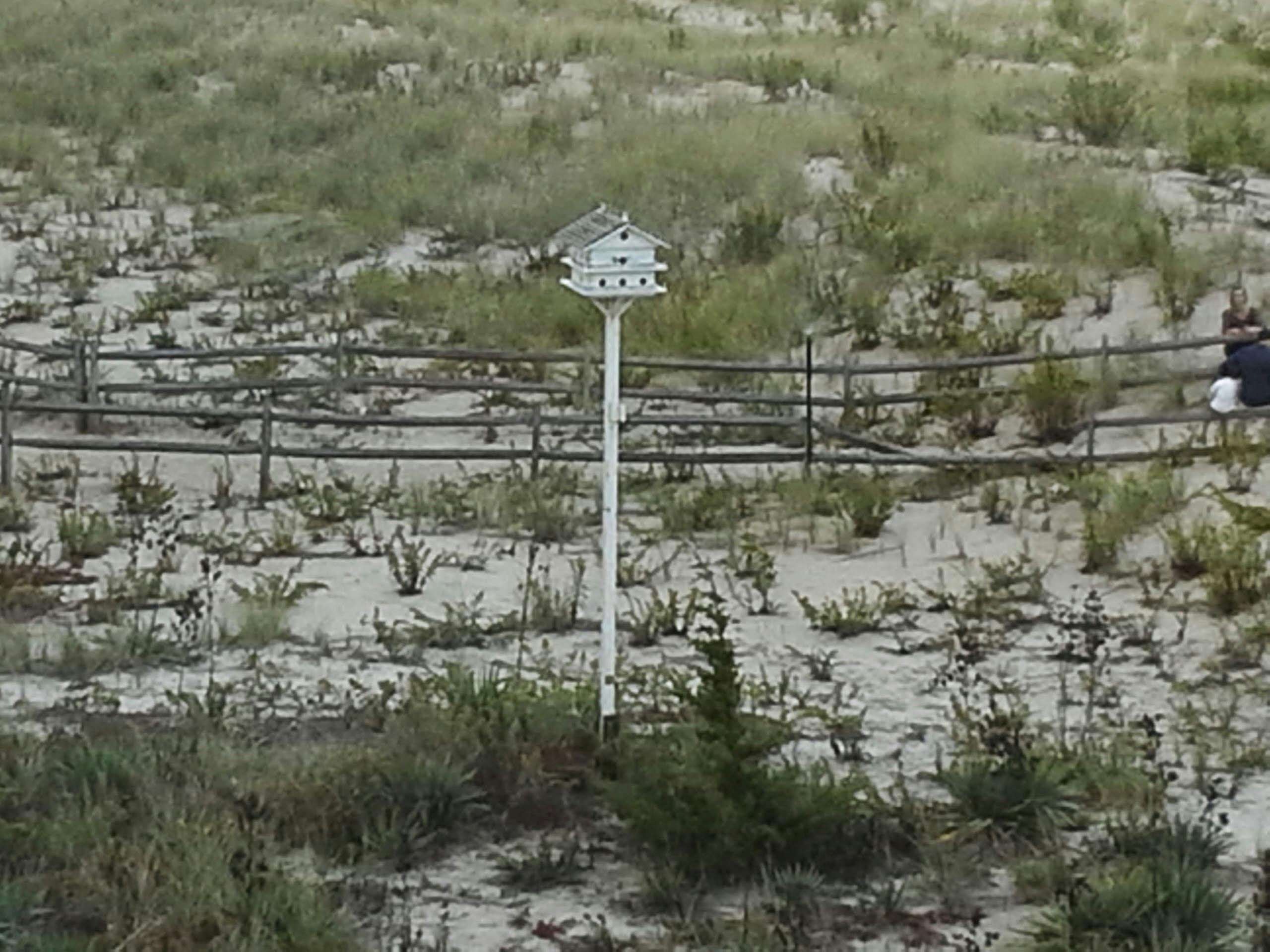 Formula 1 cars racing into the sunset symbolising the future of the sport