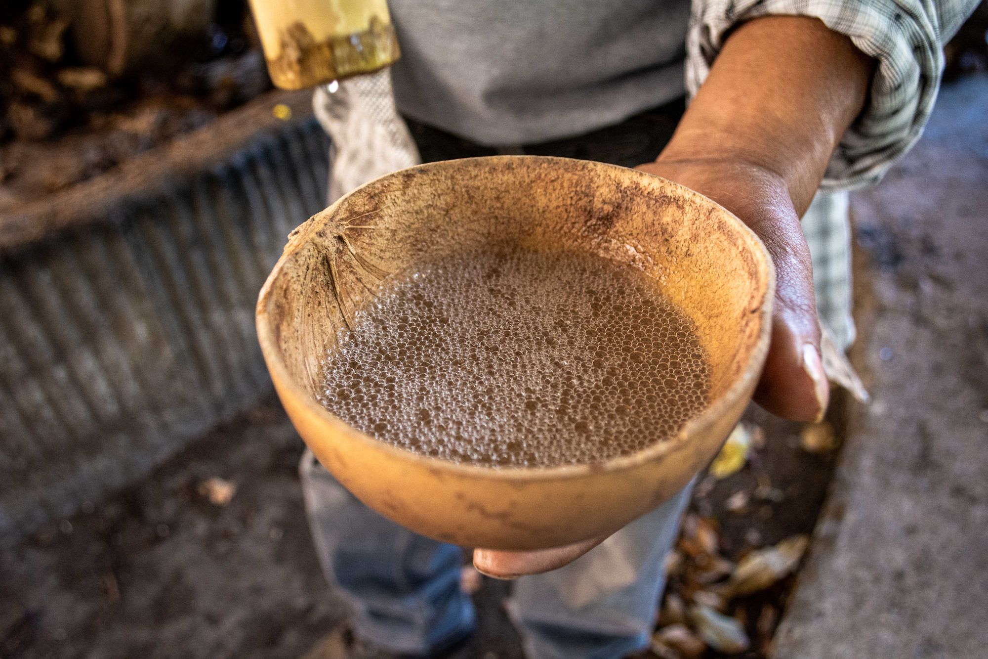 Feria del Tejate y el Tamal 2026: cierra la Guelaguetza el 29 y 30 de julio imagen del post