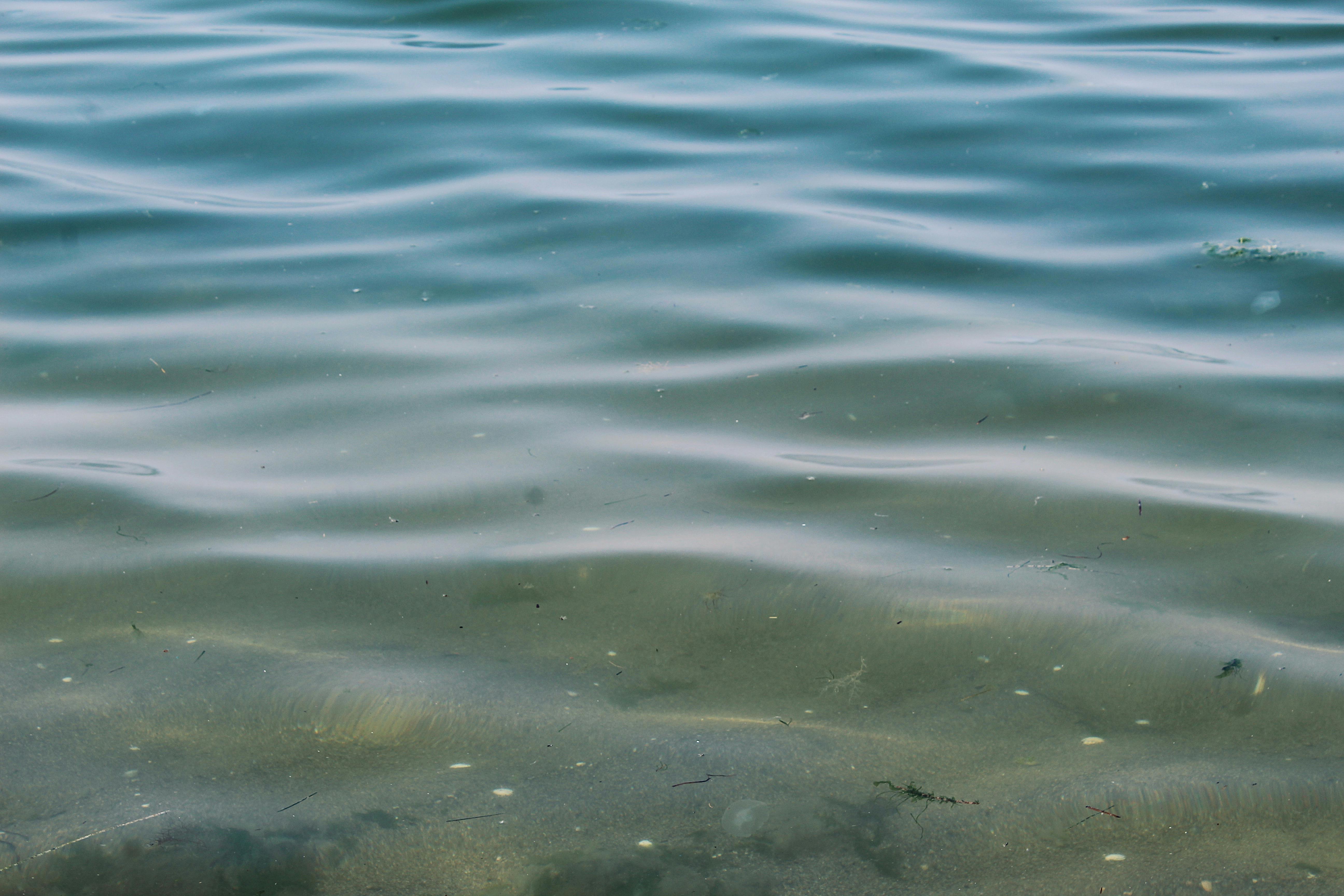 Photo by sena keçicioğlu