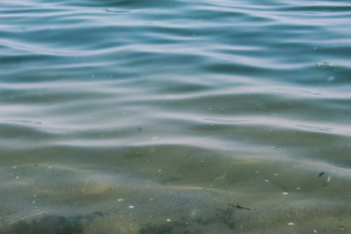 クリア, 岸, 水の無料の写真素材