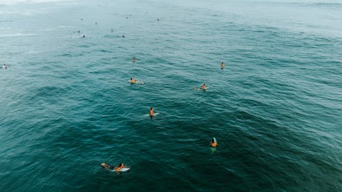 Surfers on the Ocean